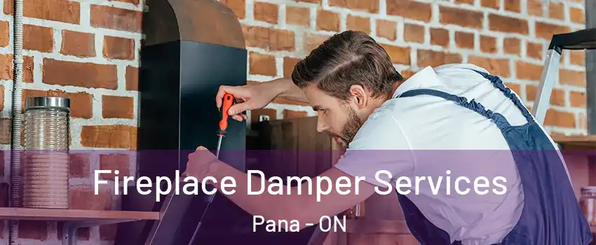  Fireplace Damper Services Pana - ON