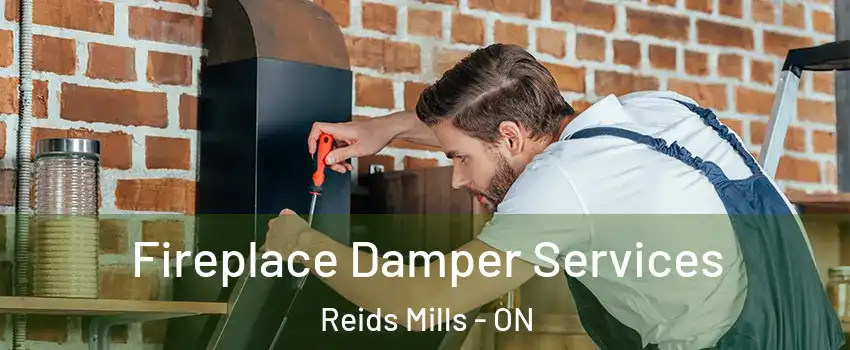  Fireplace Damper Services Reids Mills - ON