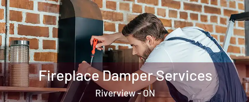  Fireplace Damper Services Riverview - ON