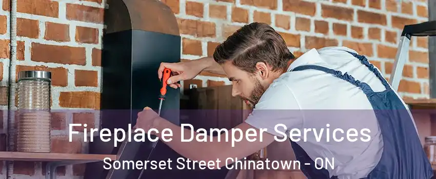  Fireplace Damper Services Somerset Street Chinatown - ON