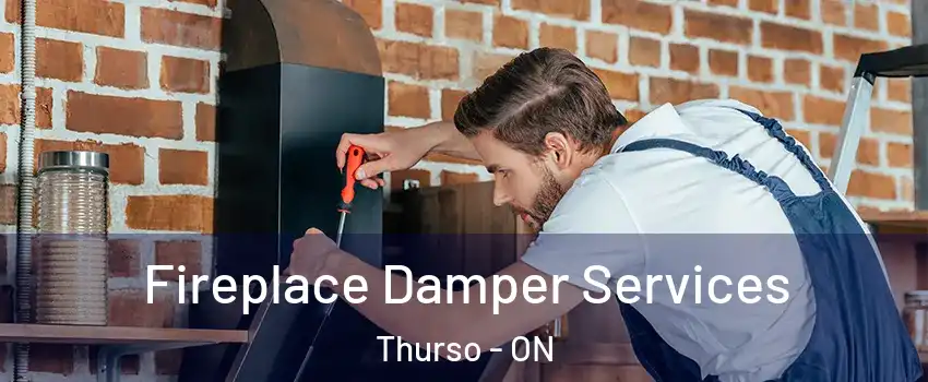  Fireplace Damper Services Thurso - ON