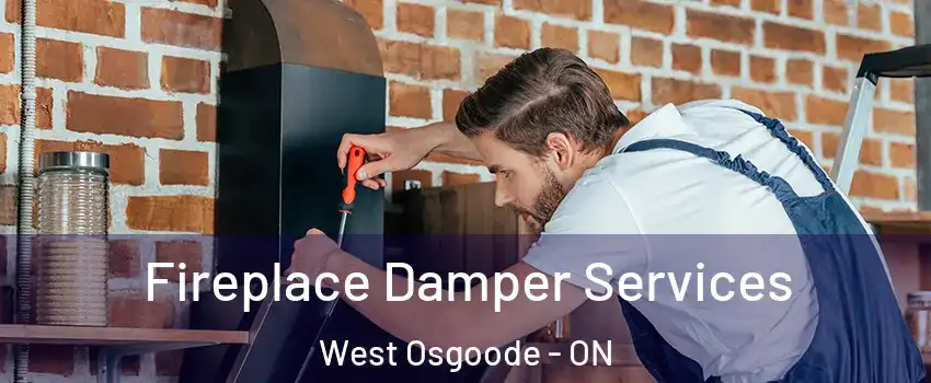  Fireplace Damper Services West Osgoode - ON