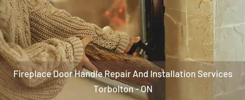  Fireplace Door Handle Repair And Installation Services Torbolton - ON