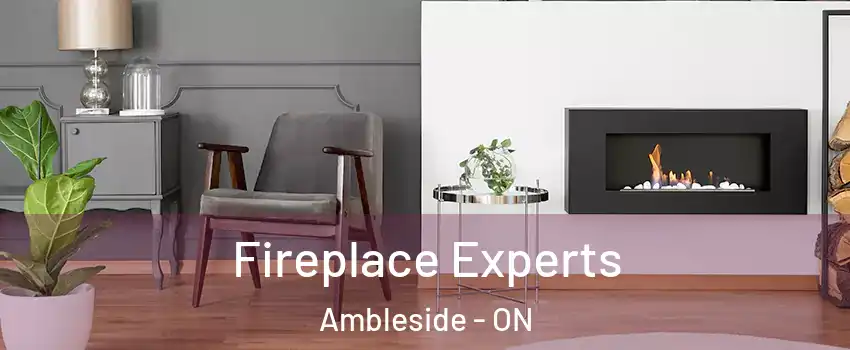  Fireplace Experts Ambleside - ON