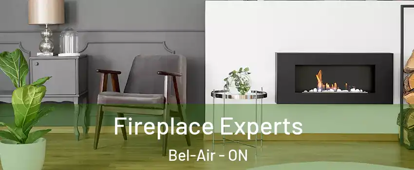  Fireplace Experts Bel-Air - ON