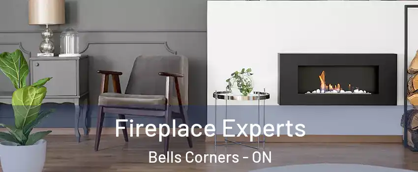  Fireplace Experts Bells Corners - ON