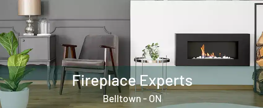  Fireplace Experts Belltown - ON