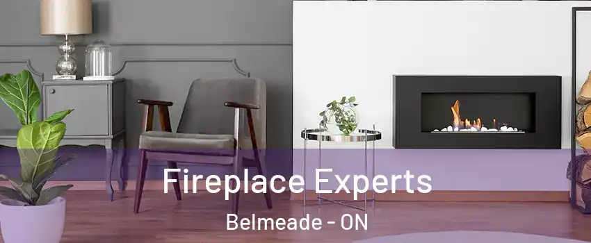  Fireplace Experts Belmeade - ON