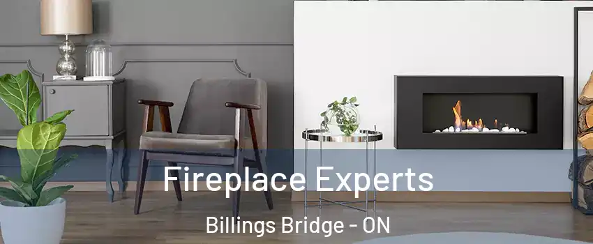  Fireplace Experts Billings Bridge - ON