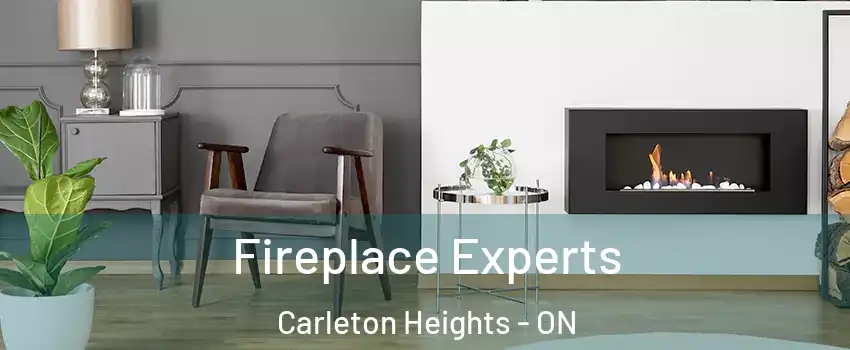  Fireplace Experts Carleton Heights - ON