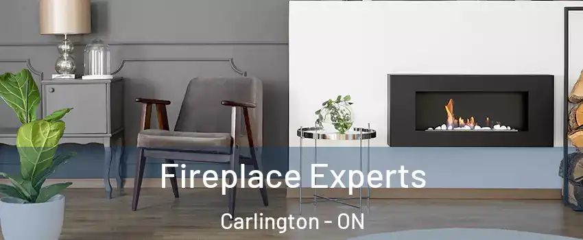  Fireplace Experts Carlington - ON