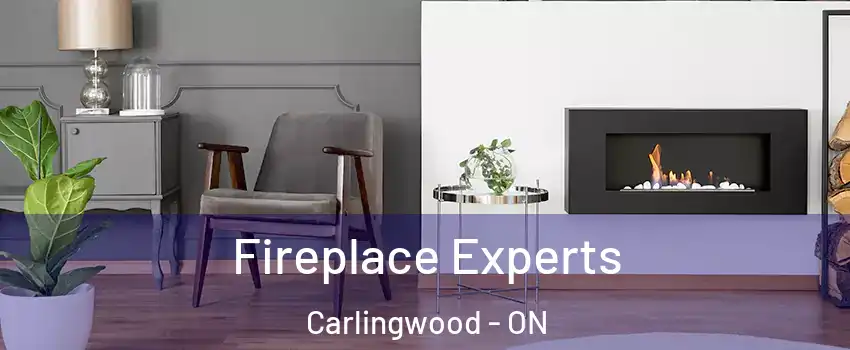  Fireplace Experts Carlingwood - ON