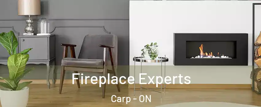  Fireplace Experts Carp - ON