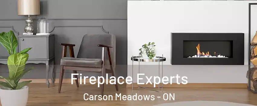  Fireplace Experts Carson Meadows - ON