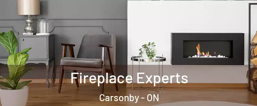  Fireplace Experts Carsonby - ON