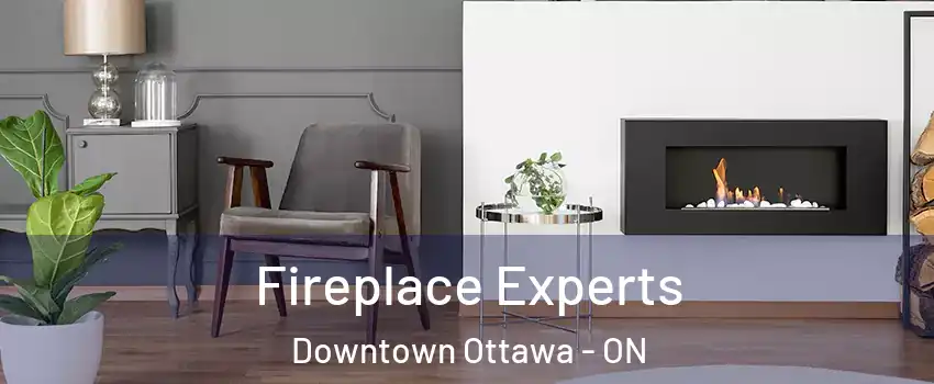  Fireplace Experts Downtown Ottawa - ON