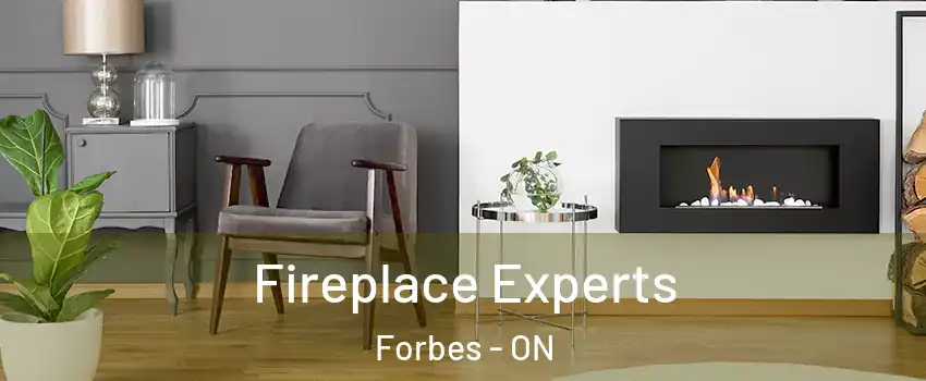  Fireplace Experts Forbes - ON