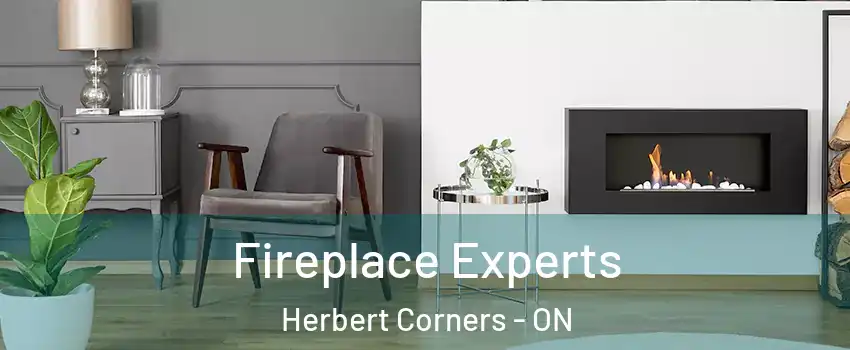  Fireplace Experts Herbert Corners - ON