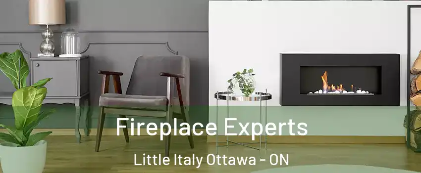  Fireplace Experts Little Italy Ottawa - ON