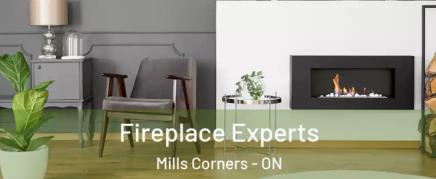  Fireplace Experts Mills Corners - ON