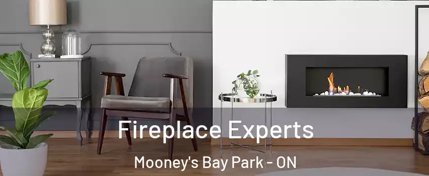  Fireplace Experts Mooney's Bay Park - ON