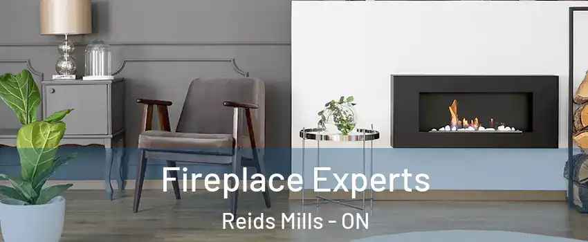  Fireplace Experts Reids Mills - ON