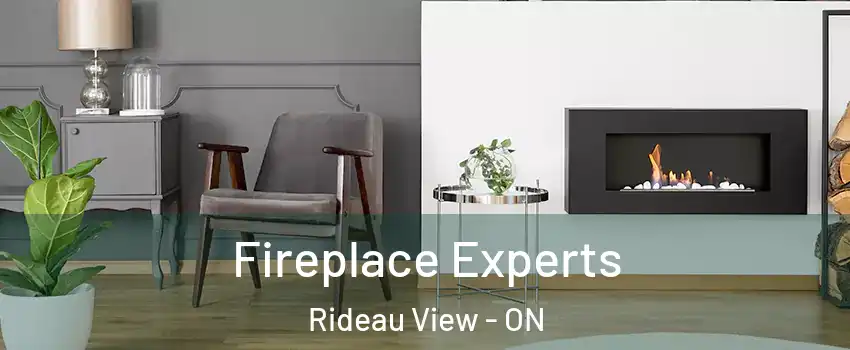  Fireplace Experts Rideau View - ON