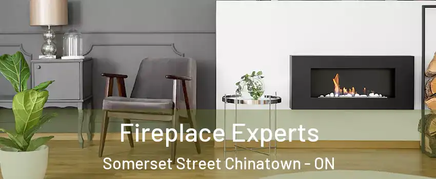  Fireplace Experts Somerset Street Chinatown - ON