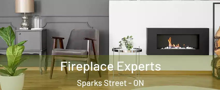  Fireplace Experts Sparks Street - ON