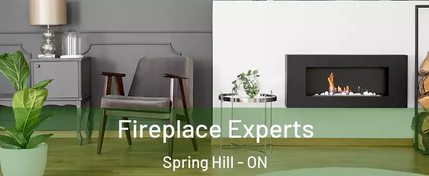  Fireplace Experts Spring Hill - ON