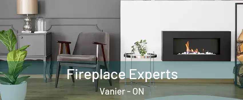  Fireplace Experts Vanier - ON