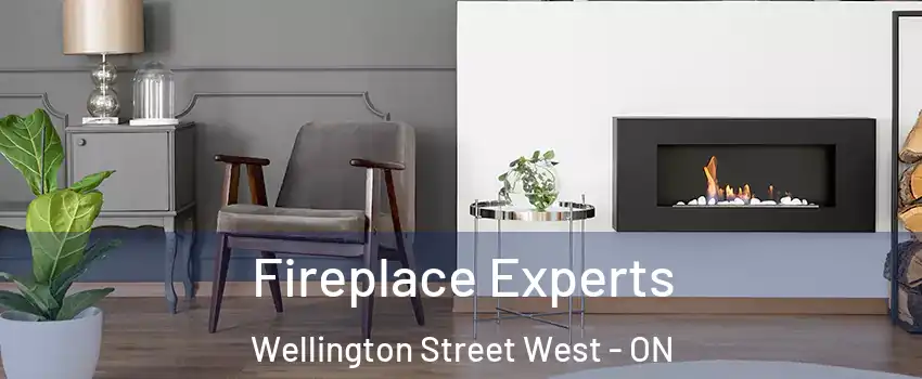  Fireplace Experts Wellington Street West - ON