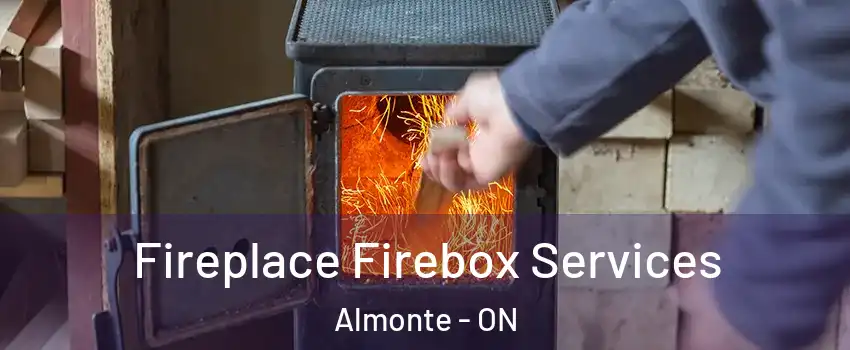  Fireplace Firebox Services Almonte - ON