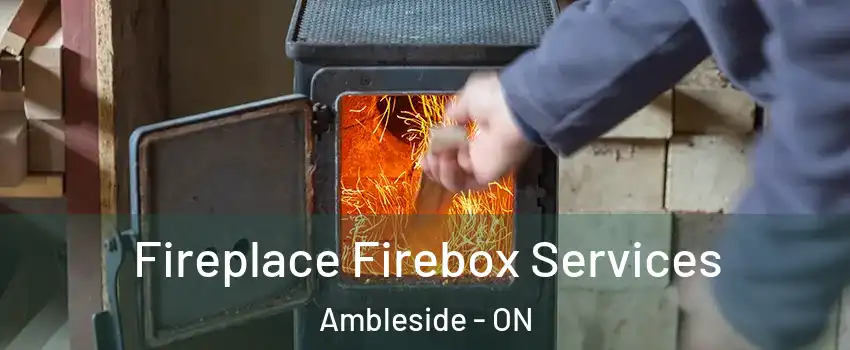  Fireplace Firebox Services Ambleside - ON