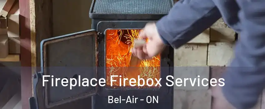  Fireplace Firebox Services Bel-Air - ON