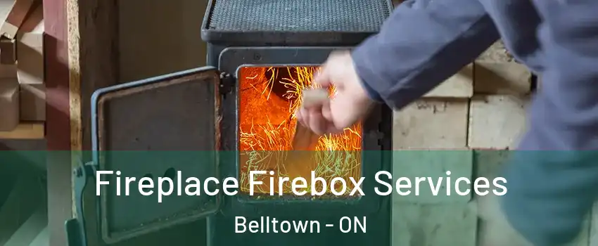  Fireplace Firebox Services Belltown - ON