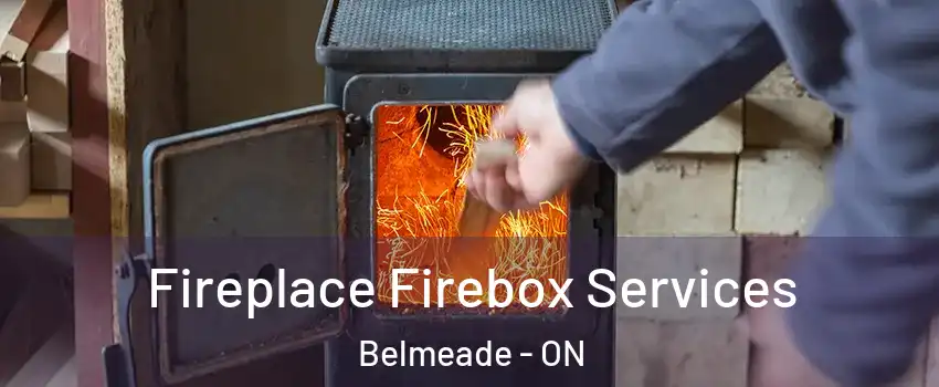  Fireplace Firebox Services Belmeade - ON