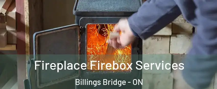  Fireplace Firebox Services Billings Bridge - ON