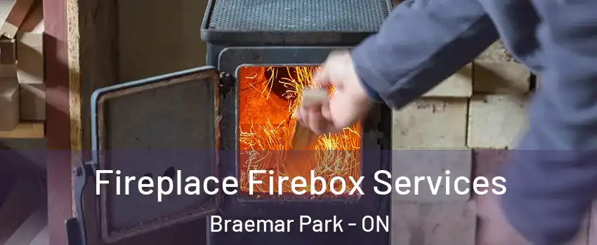  Fireplace Firebox Services Braemar Park - ON