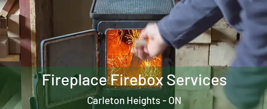  Fireplace Firebox Services Carleton Heights - ON