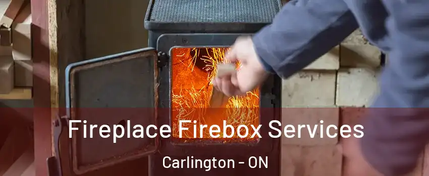  Fireplace Firebox Services Carlington - ON