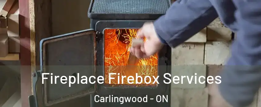  Fireplace Firebox Services Carlingwood - ON