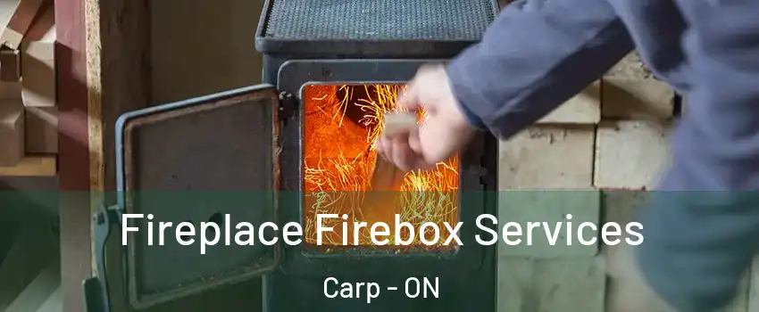  Fireplace Firebox Services Carp - ON