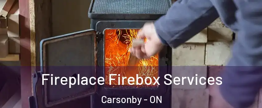  Fireplace Firebox Services Carsonby - ON