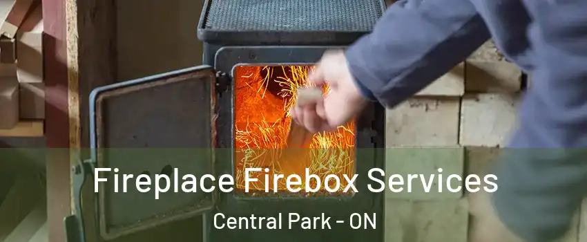  Fireplace Firebox Services Central Park - ON