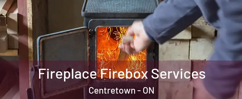  Fireplace Firebox Services Centretown - ON