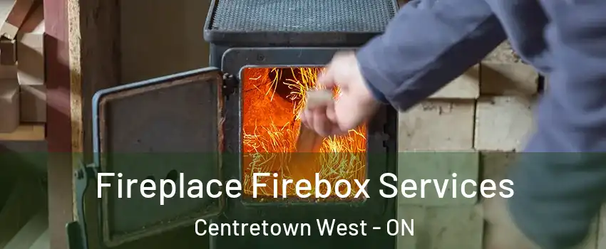  Fireplace Firebox Services Centretown West - ON