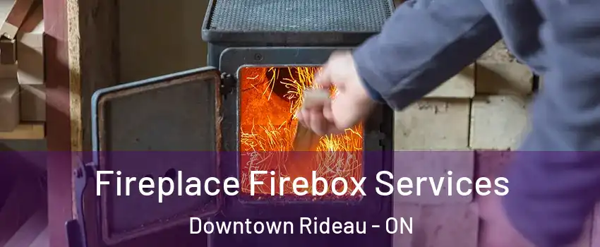  Fireplace Firebox Services Downtown Rideau - ON