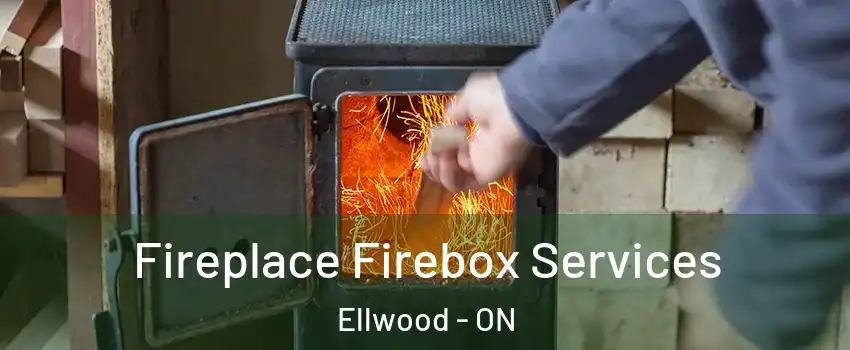  Fireplace Firebox Services Ellwood - ON