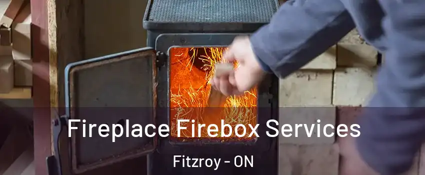  Fireplace Firebox Services Fitzroy - ON